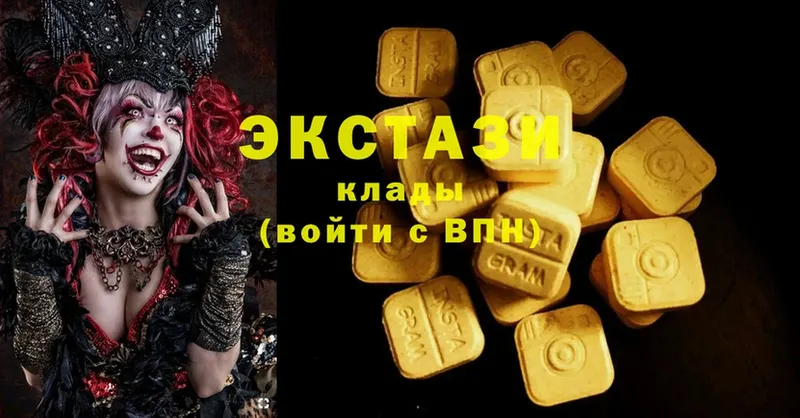 что такое   Куса  Ecstasy Philipp Plein 